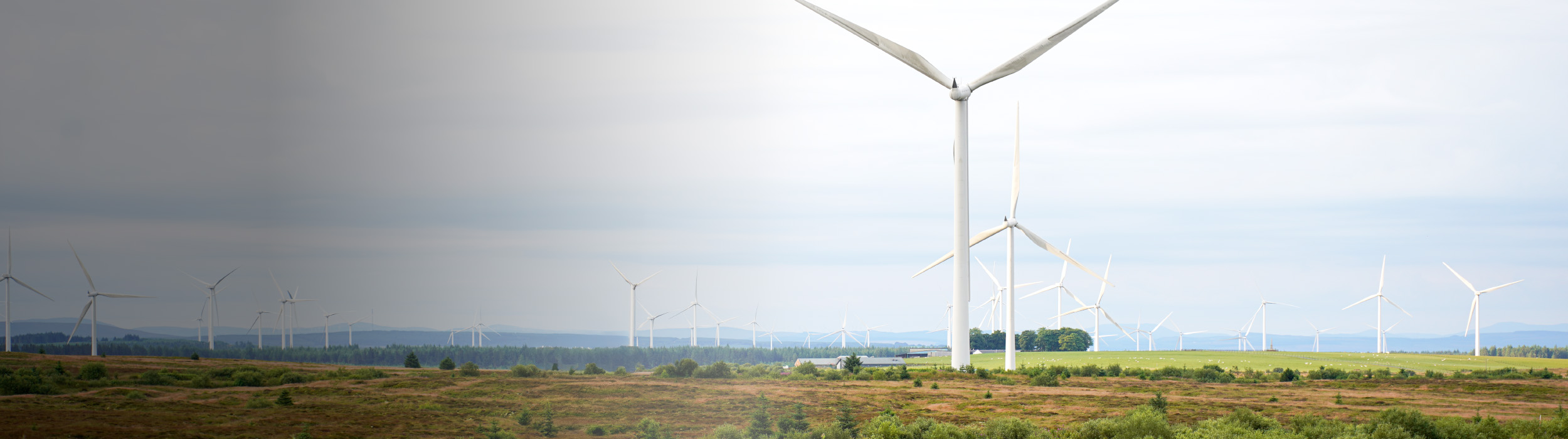 solar farm background