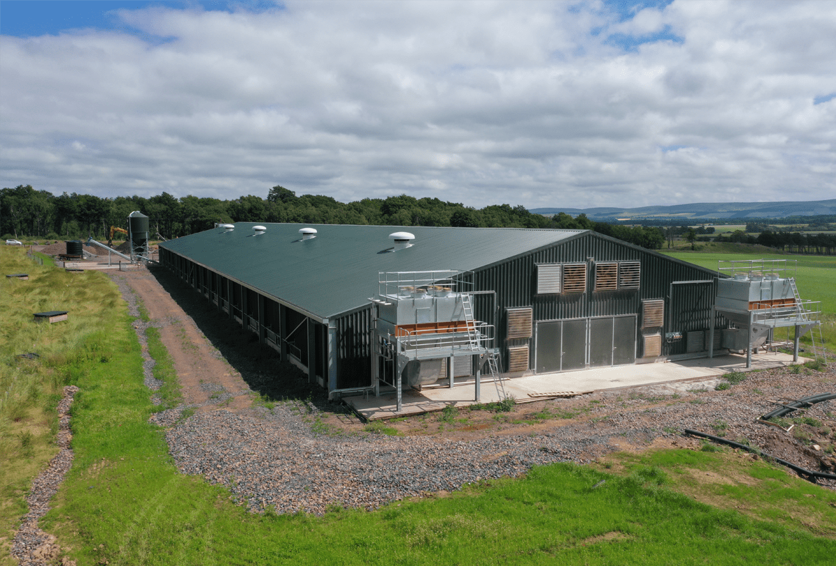 Howden hen crossing image 2