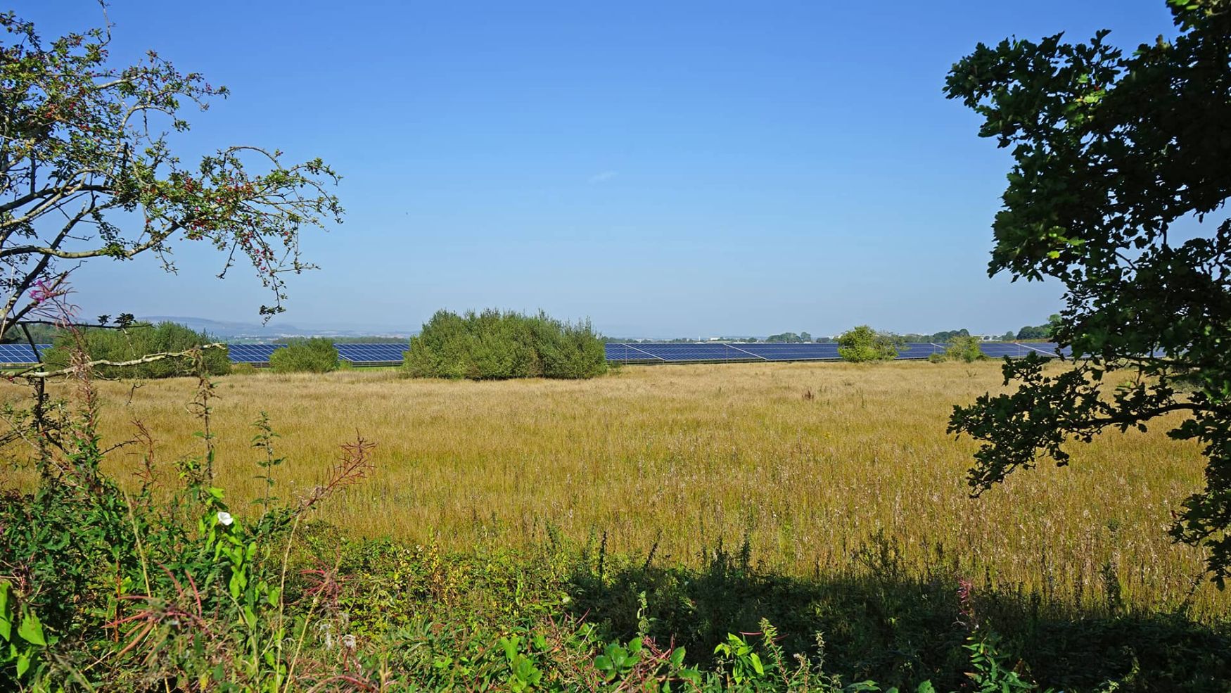 image of farm barn using solar panels