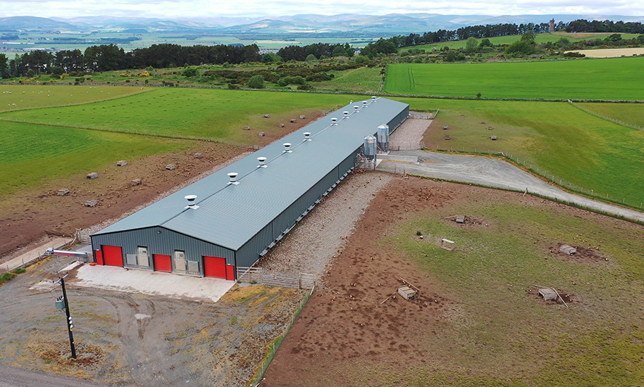 Major Development - Craignathro Eggs Ltd