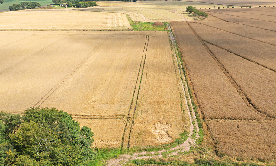 Major Development - Cononsyth Farms Ltd