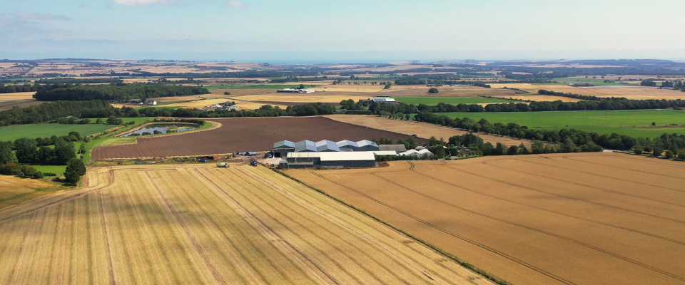 Major Development - Cononsyth Farms Ltd