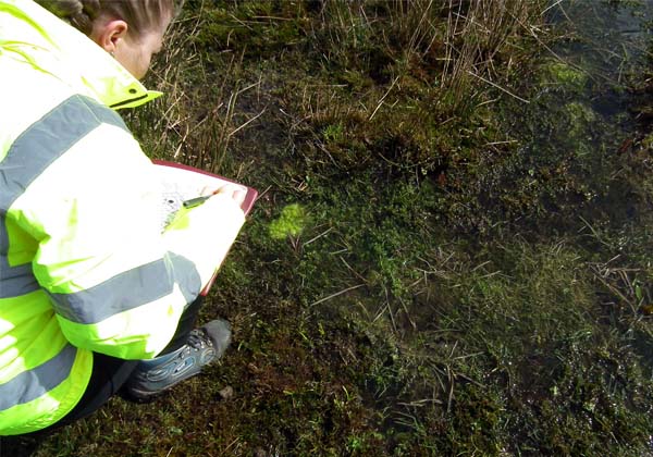 Major Solar Development Consented in South Wales